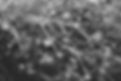 DSCF0715.jpg