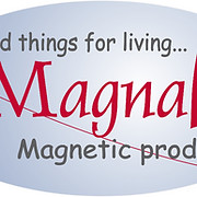 Logo de Magnalife