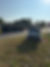 IMG_5516.jpeg