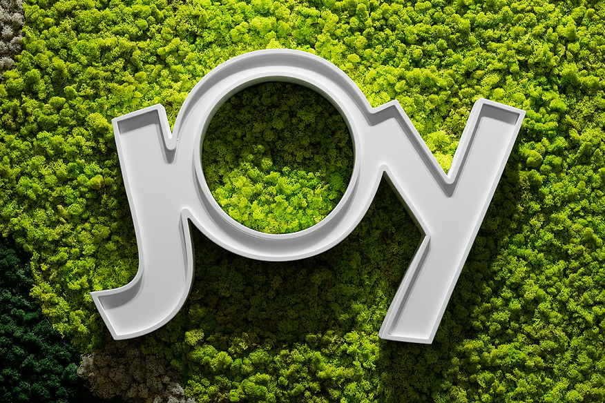 JOY.jpg