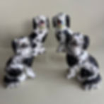 DOGS & CHILDREN WITH DOGS