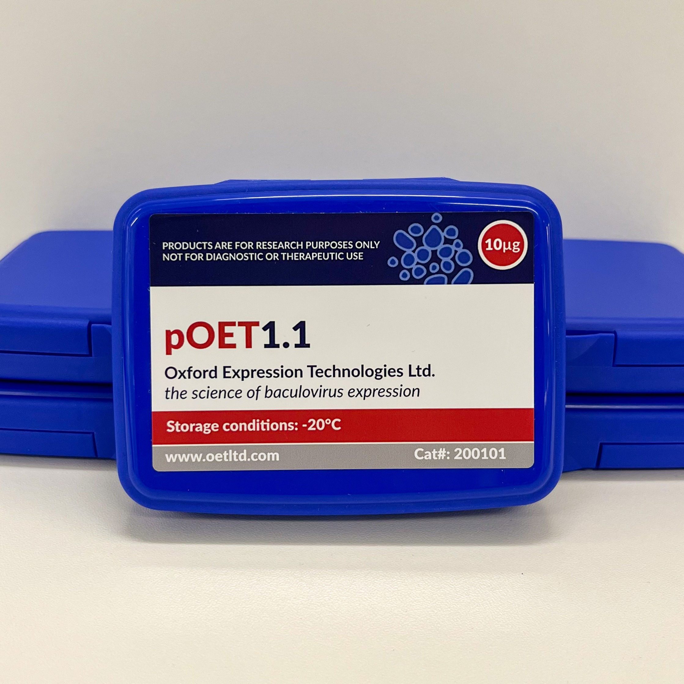 pOET1.1 Transfer Plasmid
