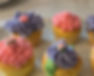 Colorful Vanilla Cupcakes