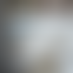 Copolímero Poliol e o desempenho em espumas de poliuretano