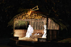 Presepio 2021 (24).jpg