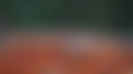 Fan Harassment: What needs to change? 