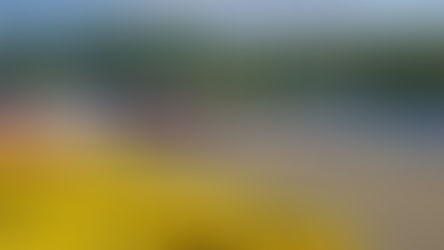 Splashing Spa: WEC race recap