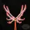 Thumbnail: Staghorn forked-leaf sundew RED - Drosera binata multifida