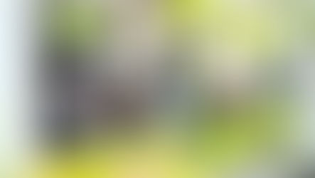 野外ハイキング（さくら苑）