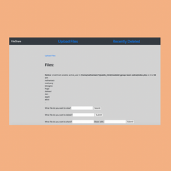 File Sharing Site