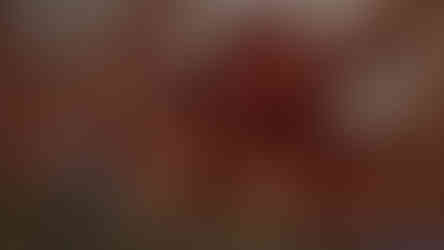 Daemon X Machina: Titanic Scion 3