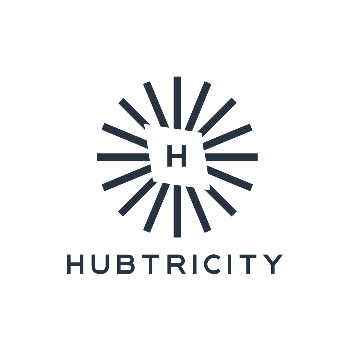 Hubtricity
