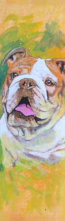 pug.jpg