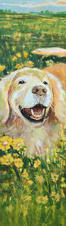 dog retriever.jpg