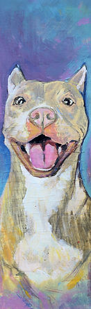 pitbull.jpg