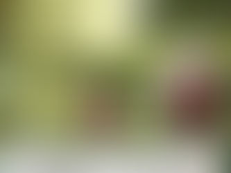 2024.4.24＿中村メイコさん  追悼コンサート  佐久交流センター　