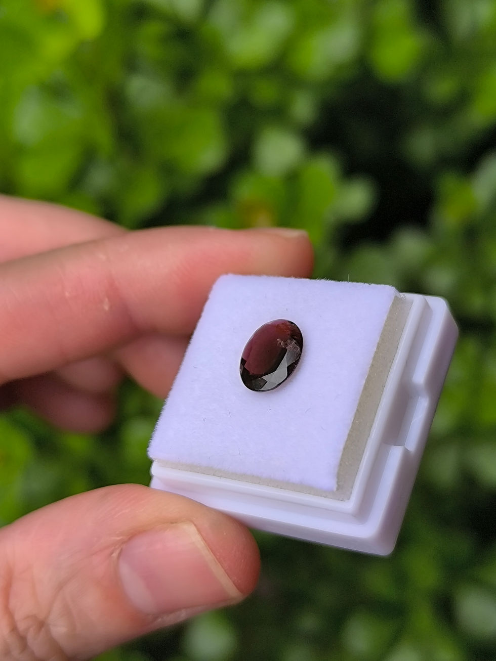 Miniatura: Turmalina Plum purple 1.25ct. 9.2x7.2x3.2mm. ovalado. Mozambique 