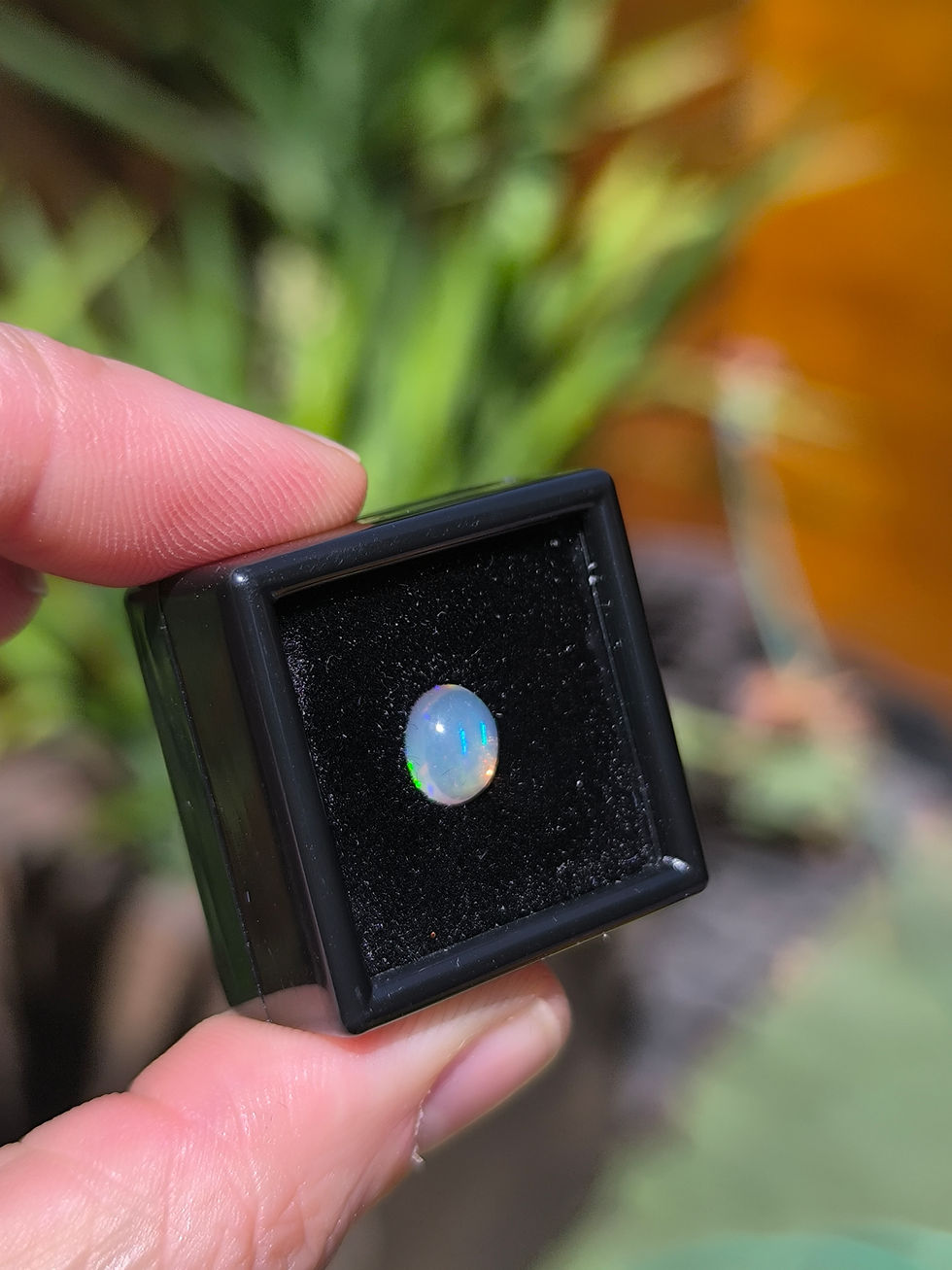 Miniatura: Ópalo etíope platino 1,18ct. 7,5x6,7x4.0mm. Cabujon ovalado. 