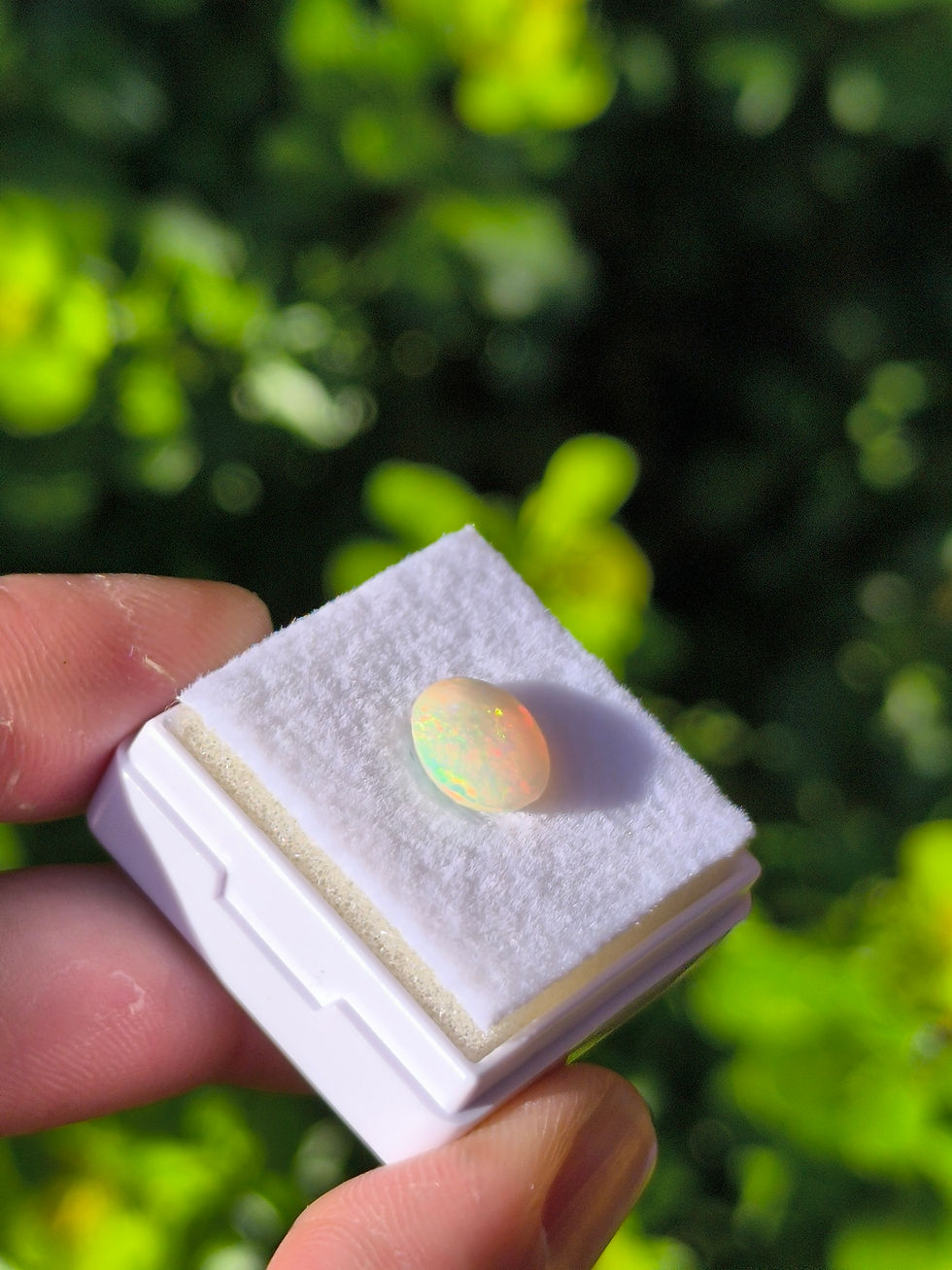 Miniatura: Ópalo Etíope, 1.25ct. 9.3*8*4.5ct. Facetado, corte ovalado