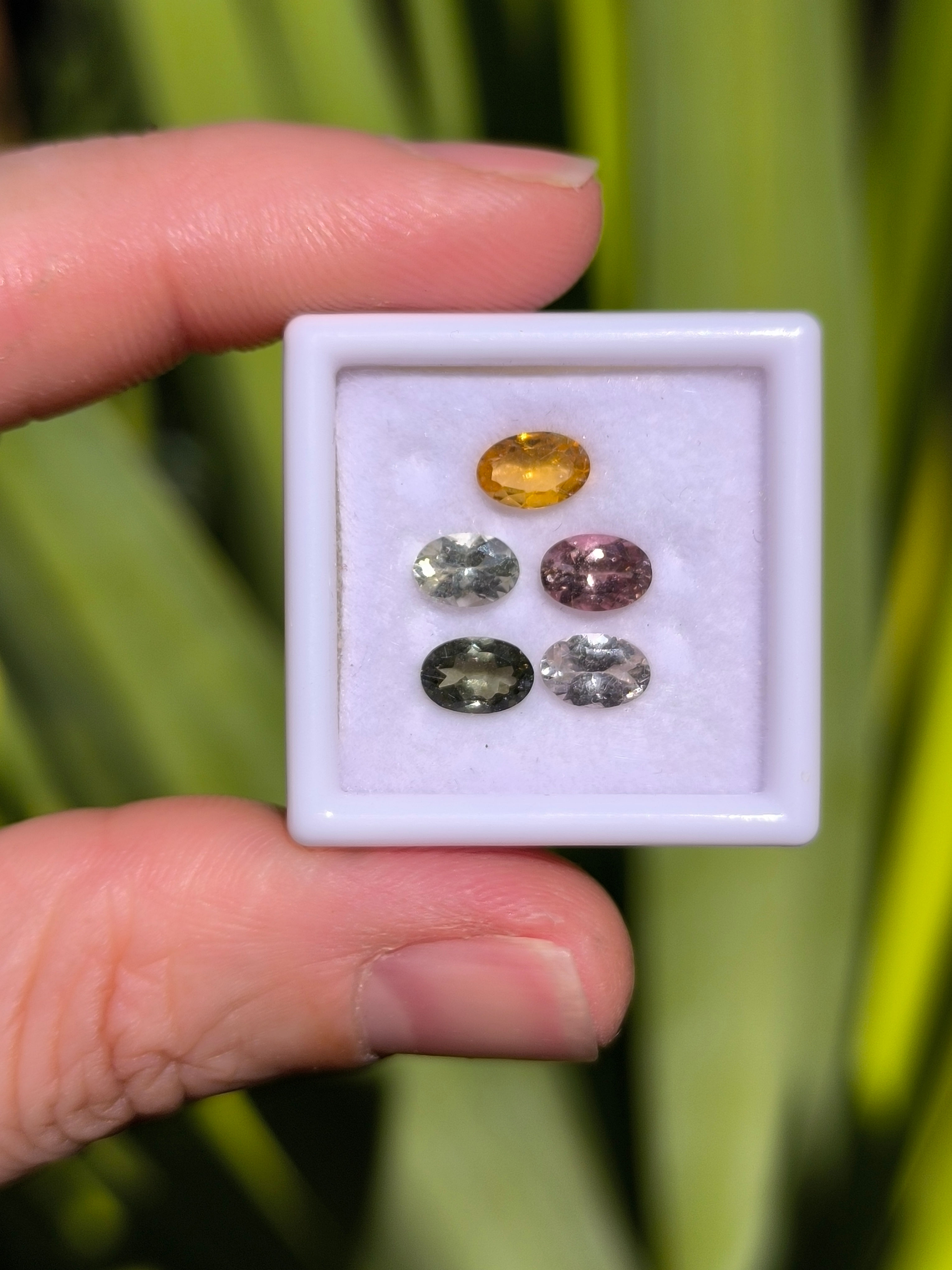 Lote (5) turmalinas ovaladas 6*4mm. Brasil