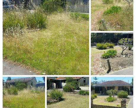 garden before & after.jpg
