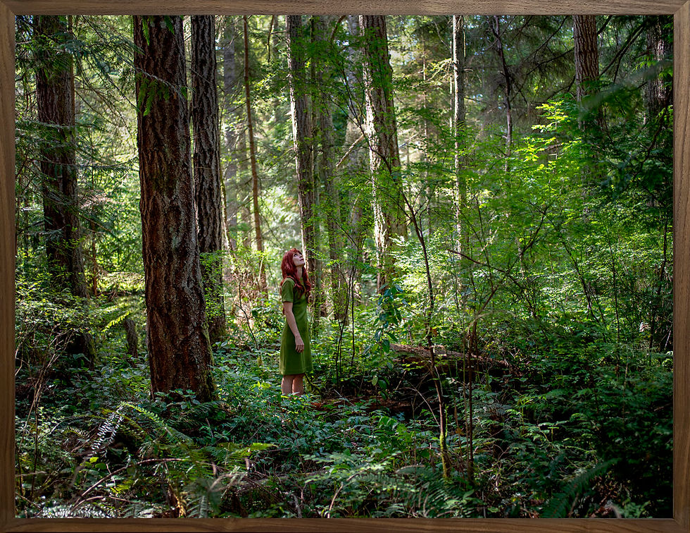 Thumbnail: OLYMPIC FOREST