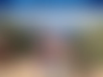 Case Study: How to Build and Launch a Successful Non-Profit from Scratch