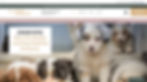 Thumbnail: Wix Website Template - Dog Walker or Pet Sitting Company