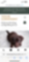 Thumbnail: Wix Website Template - Dog Walker or Pet Sitting Company