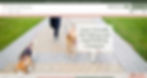Wix Website Template - Dog Walker or Pet Sitting Company