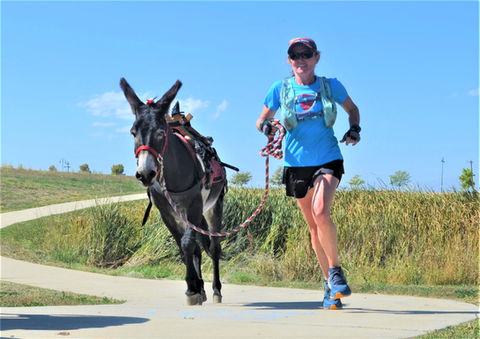 thumbnail_Burro Pic 2.jpeg