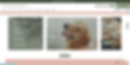 Wix Template for Pet Groomer or Pet Sitter or Pet Store