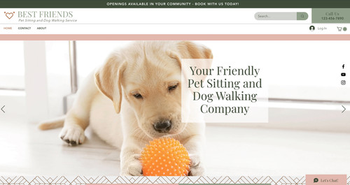 Pet Search Websites Wix Website Template Dog Walker Or Pet Sitting