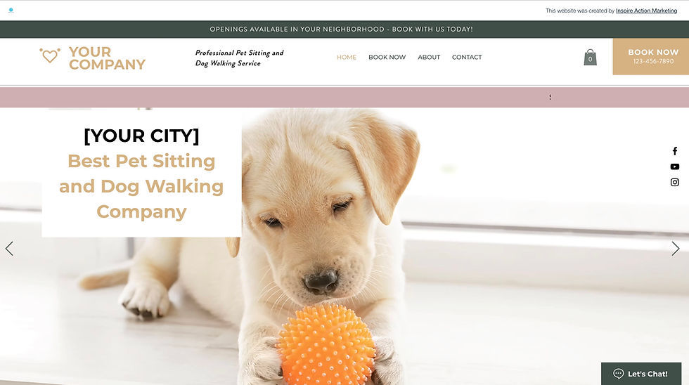 Thumbnail: Wix Website Template - Dog Walker or Pet Sitting Company