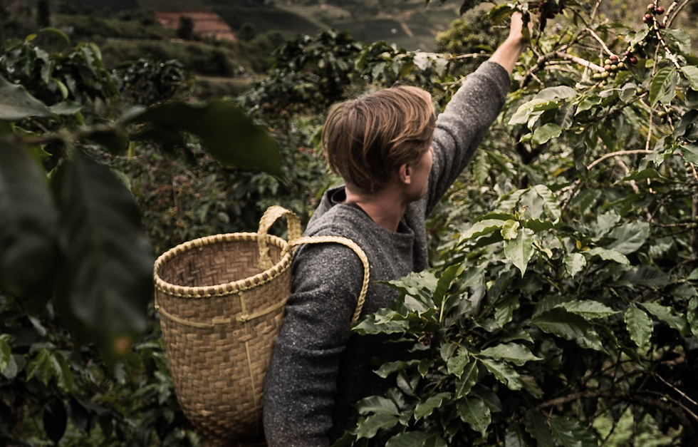 Sustainable and Ethical Practices