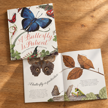 a butterfly is patient