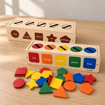color and shape sorter