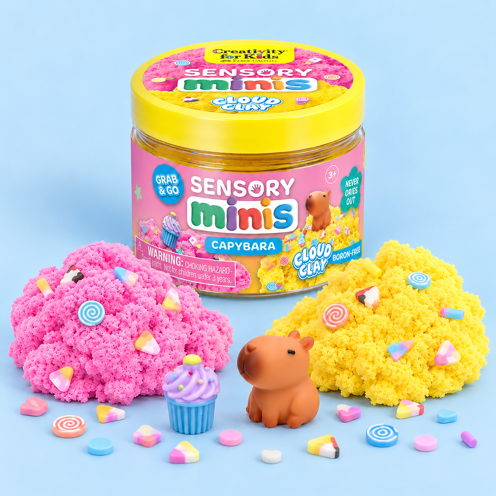 capybara mini sensory kit