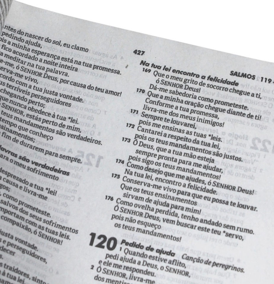 Miniatura: ✔️Bíblia Sagrada Mig e Meg - capa ovelha.