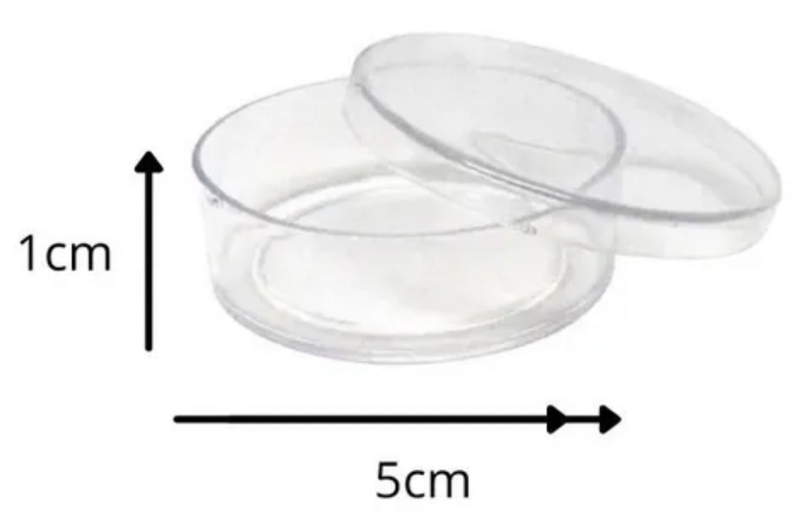 ✔️Latinha Acrílica Transparente com 10 Unidades. 