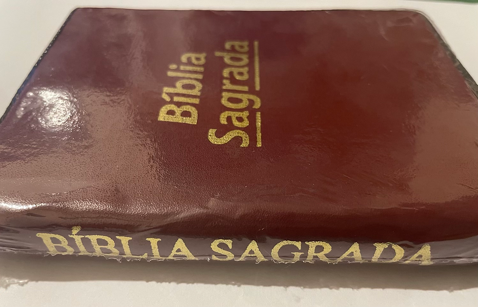 Miniatura: 1 Bíblias Sagrada Edição Promessas - Tamanho Pequeno
