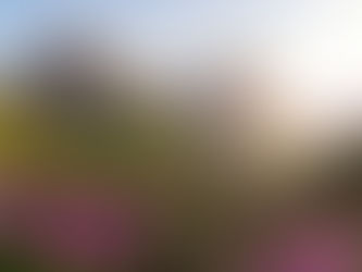 Plan Sponsor Newsletter: Talent Management and Total Rewards Edition