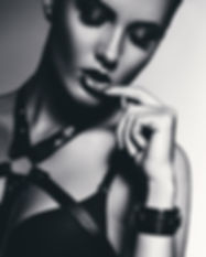 Leather model