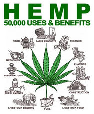 HEMP:  THE 50,000 USES AND BENEFITS OF THE WORLD'S MOST POWERFUL PLANT