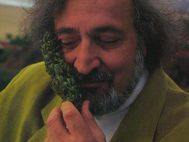      Jack Herer: The Emperor of Hemp
