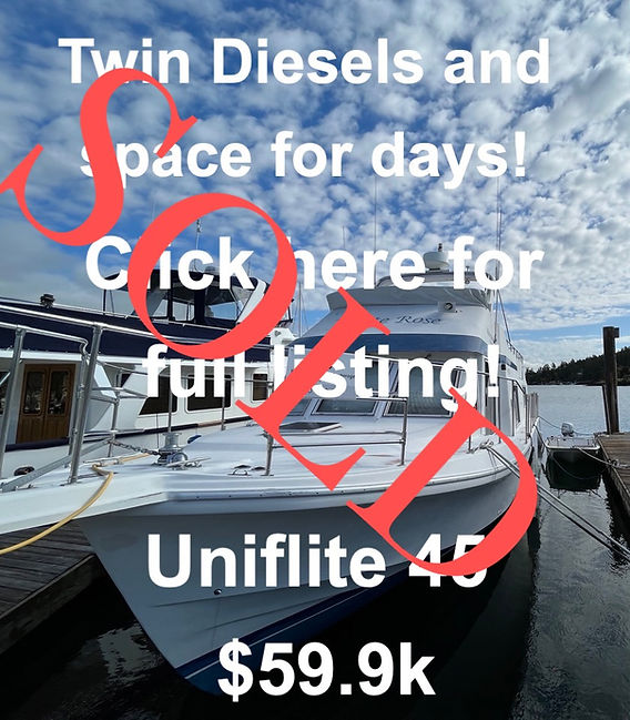 IMG_0145 Large_edited_edited.jpg