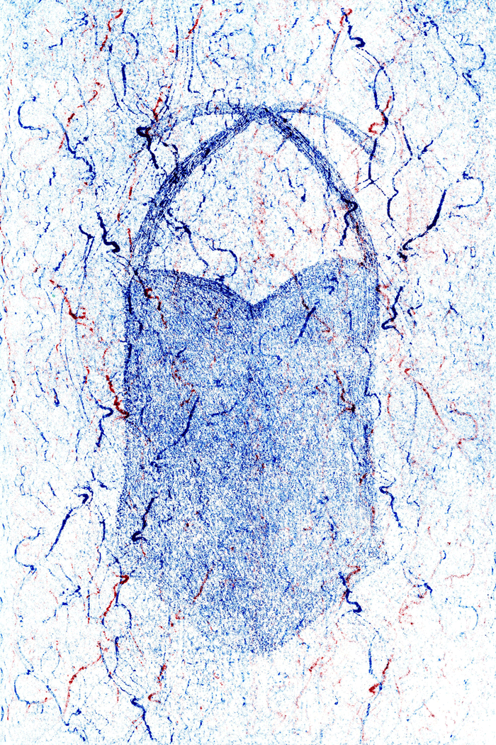 Swim Suit XXI