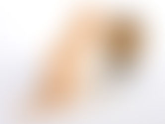 What Do You See?