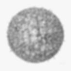 Globe_new