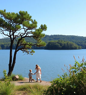 Safe Pest Control for Families Around Lake Lanier